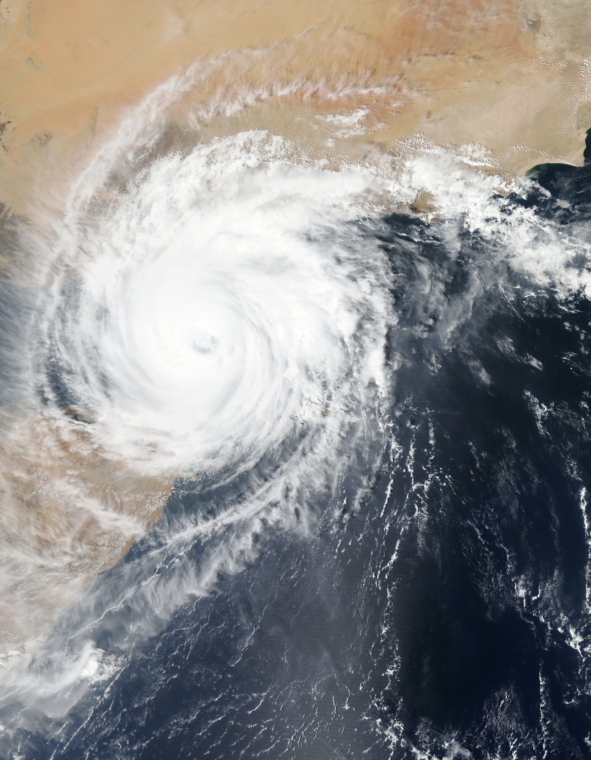 Hurricane Preparedness Tips for Small Businesses